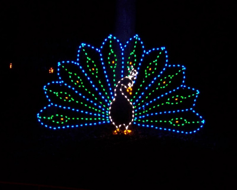 Traditional Outdoor Decor Carpenter Decorating Company, Inc.